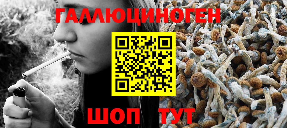 Псилоцибиновые грибы GOLDEN TEACHER Саки